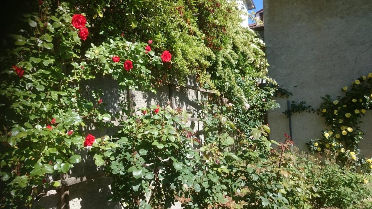 B&B Barbaia Levice Exterior photo